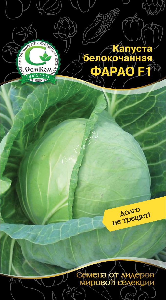 Капуста фарао описание сорта фото Капуста б.к ранн.Фарао F1 15шт, цв.п.