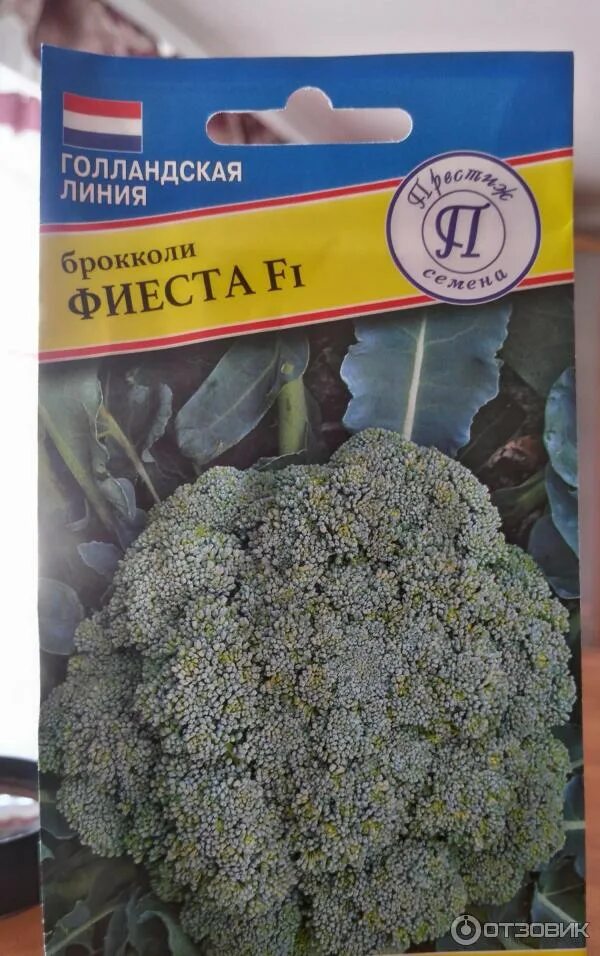 Капуста фиеста брокколи описание сорта фото отзывы Отзыв о Семена капусты брокколи Престиж Фиеста F1 Урожайный гибрид голландской л