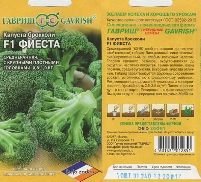 Капуста фиеста брокколи описание сорта фото отзывы Капуста фиеста брокколи фото Molot-Club.ru