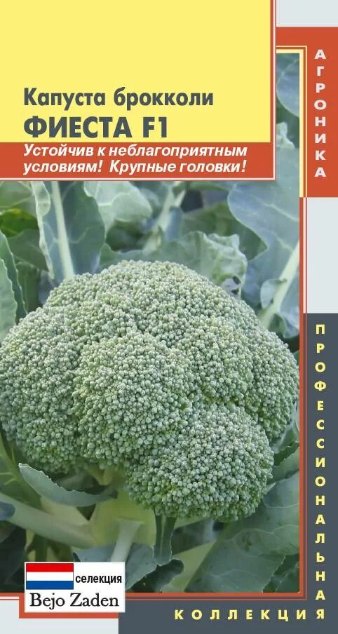Капуста фиеста фото Капуста брокколи Фиеста ПЛ купить по цене от 41 руб в Москве
