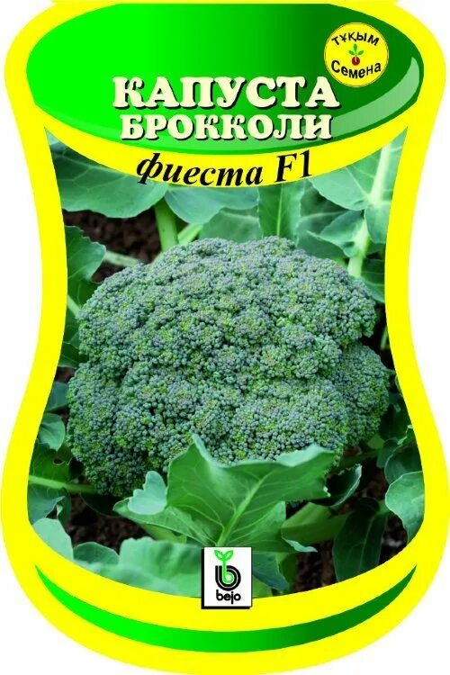 Капуста фиеста описание сорта фото отзывы Лучшие сорта капусты брокколи: ранние, поздние, для Сибири, средней полосы, Подм