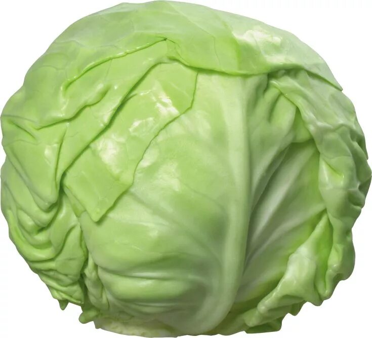 Капуста фото картинки для детей Cabbage Cabbage, Png images, Png