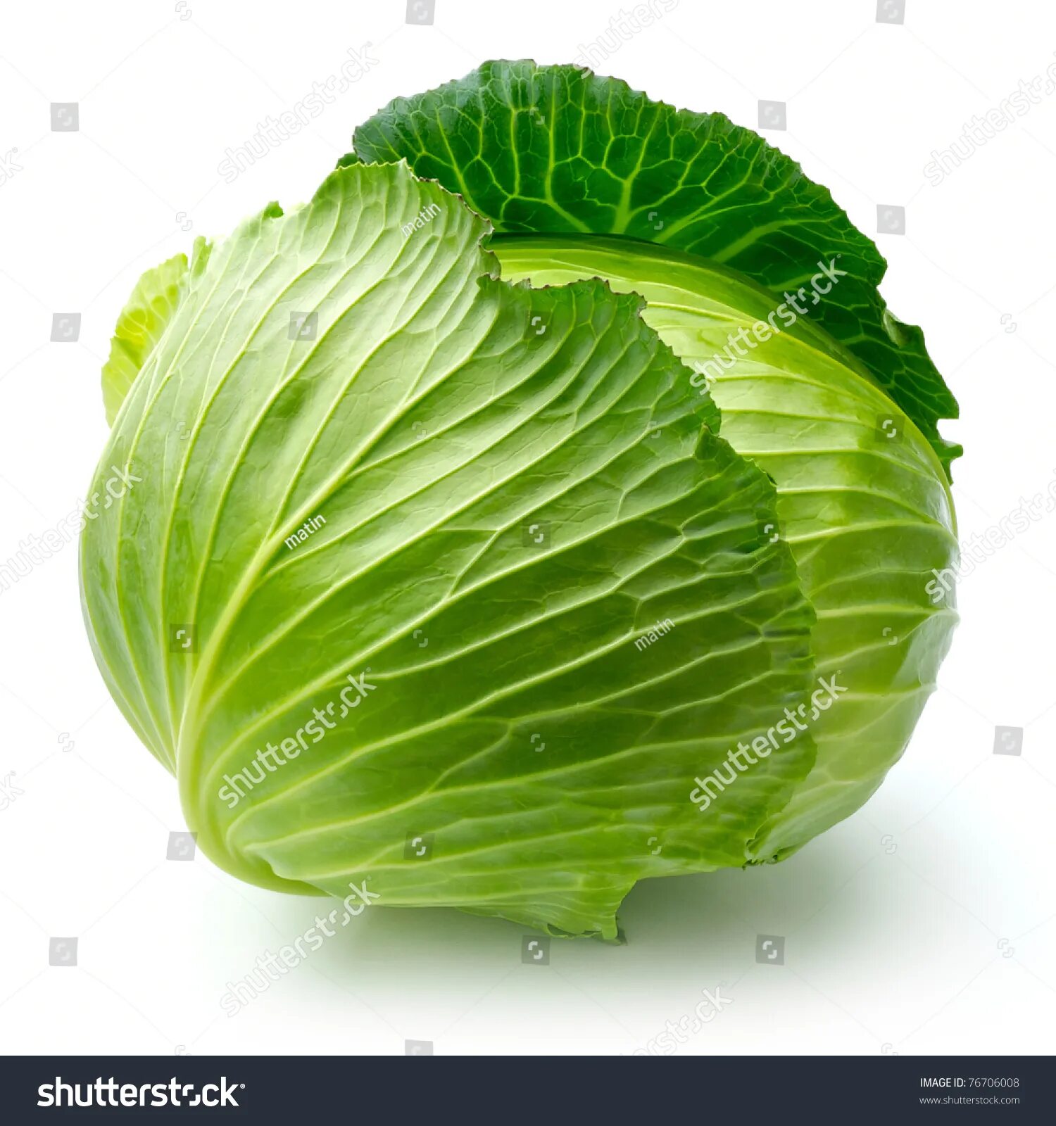 Капуста фото картинки для детей 4.264.273 Vegetables isolated Gambar, Foto Stok & Vektor Shutterstock