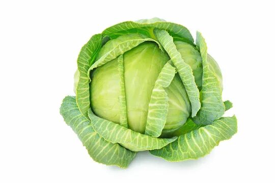 Капуста фото картинки для детей Blaukraut Rotkohl Kraut Kohl frisch geschnitten Gemüse Freistel фотография Stock