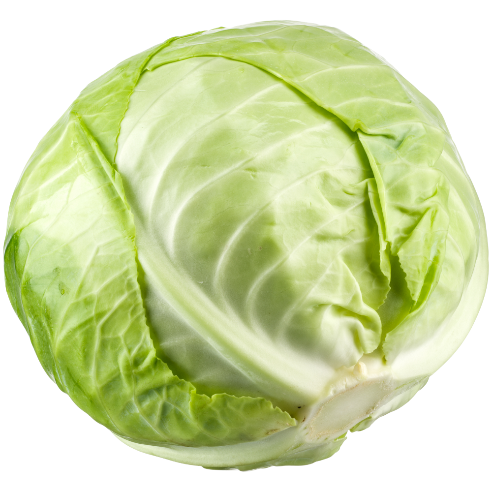 Капуста фото картинки для детей Cabbage PNG Images (Transparent HD Photo Clipart) Photo clipart, Cabbage, Clip a