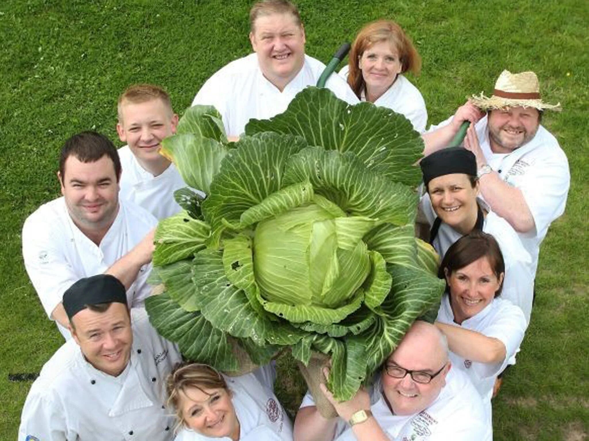 Капуста фото людей Eat your greens: Yorkshire chefs plan record attempt with giant cabbage The Inde