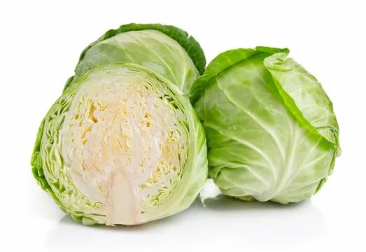 Капуста фото на белом фоне "White Cabbage" Изображения: просматривайте стоковые фотографии, векторные изобр