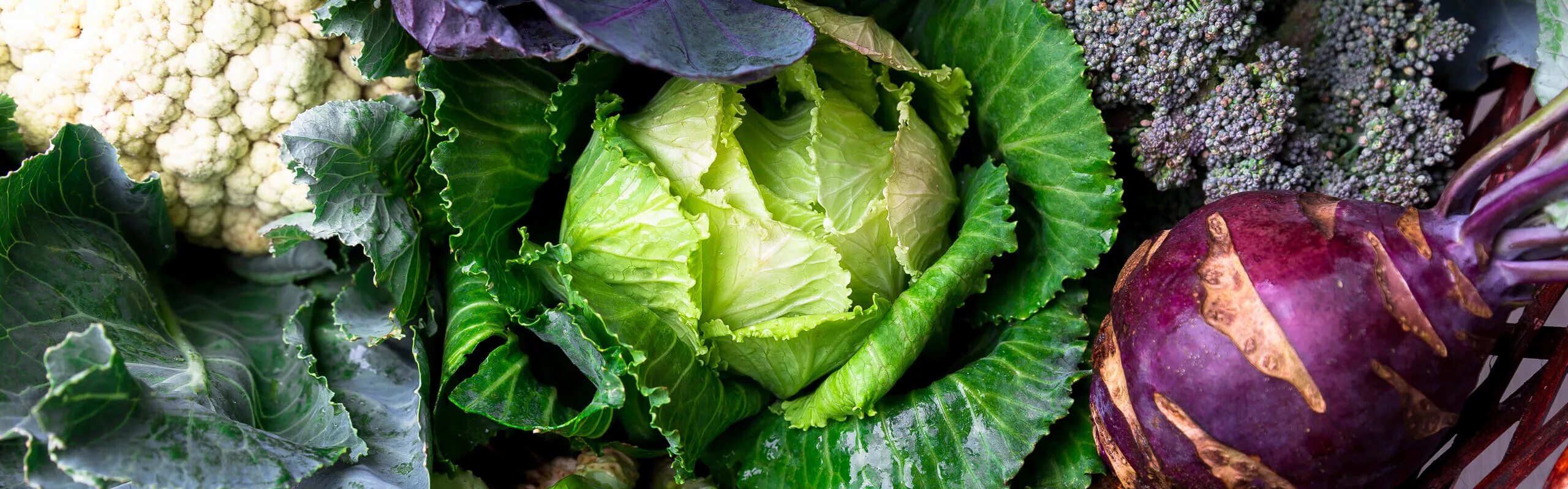 Капуста фото с названиями Cruciferous Vegetables: Phytonutrient Powerhouse - WholisticMatters