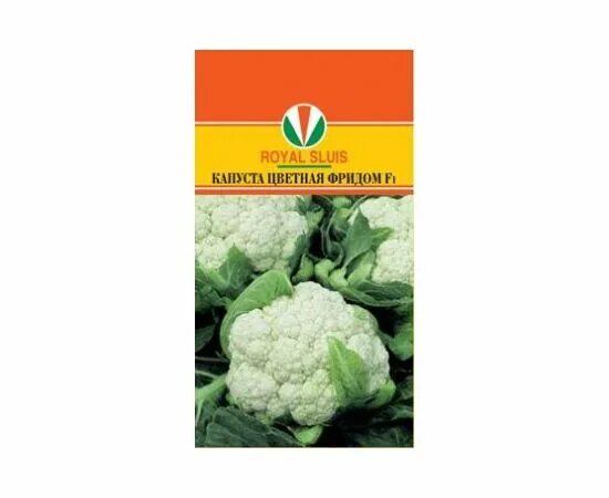 Капуста фридом фото Капуста цветная Фридом F1 15шт Акварель купить оптом и в розницу по недорогим це