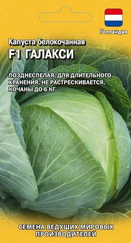 Капуста галакси f1 описание сорта фото отзывы Семена Капуста б/к Галакси F1: описание сорта, фото - купить с доставкой или поч