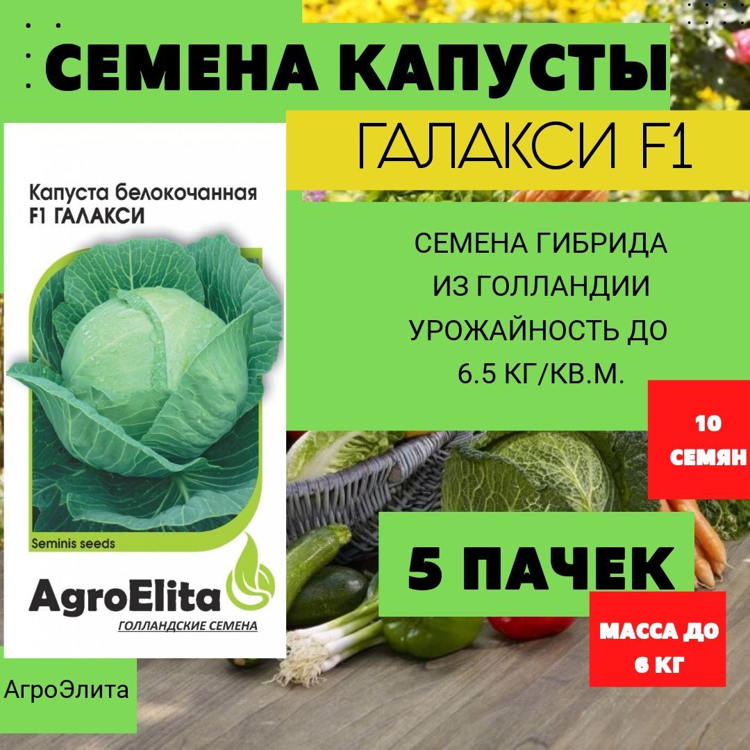 Капуста галакси f1 описание сорта фото отзывы Капуста семена_капуста_бк_агрос_галакси_5 - купить по выгодным ценам в интернет-