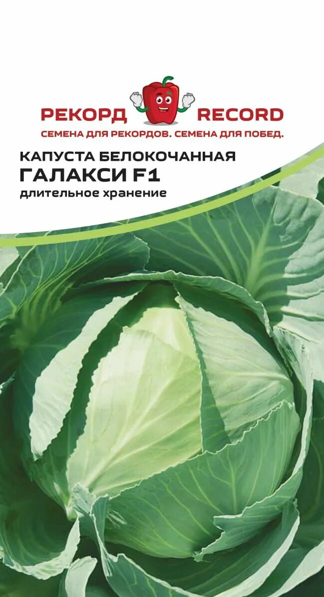 Капуста галакси f1 описание сорта фото отзывы Купить Капуста белокочанная "Рекорд" Галакси F1 10 сем в Онсад.ру с доставкой По