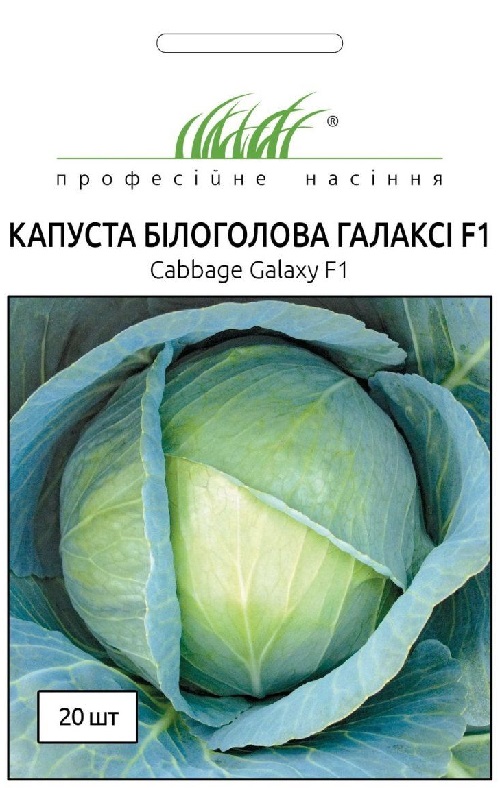 Капуста галакси f1 описание сорта фото отзывы Купить - Семена капусты Галакси из Питомника Сады Бахмута