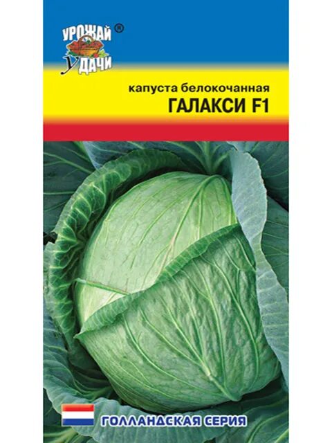 Капуста галакси описание сорта фото отзывы Капуста Капуста Белокочанная