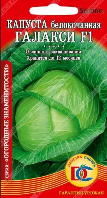Капуста галакси описание сорта фото отзывы Ответы Mail.ru: Подскажите аналог капусты Галакси.