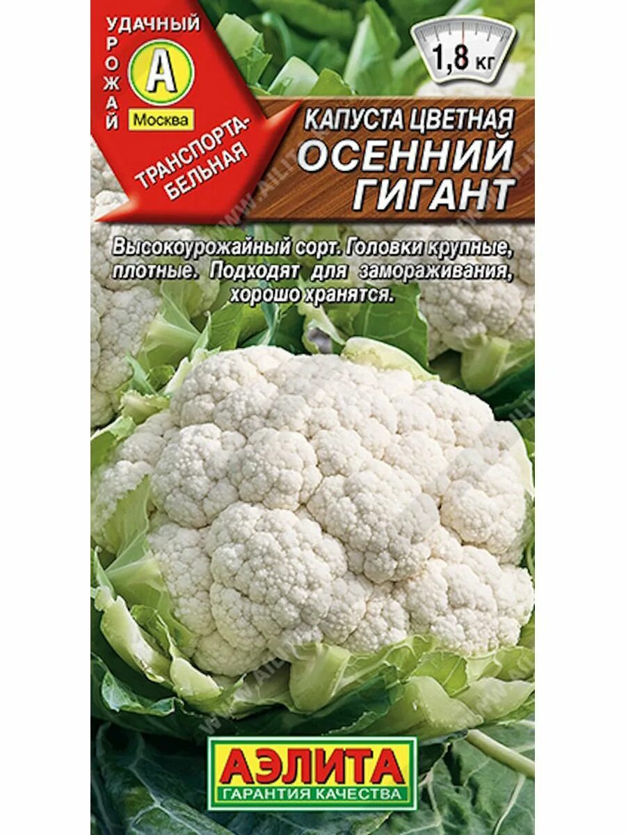 Капуста гигант описание сорта фото Капуста цветная Осенний гигант Агрофирма Аэлита 50418446 купить в интернет-магаз