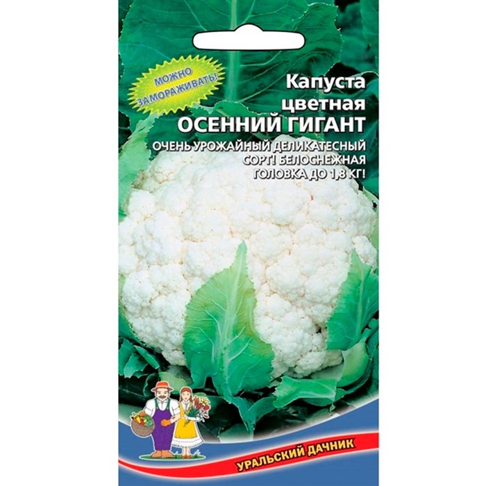 Капуста гигант описание сорта фото Капуста Цветная Осенний гигант ❄ Семена Капусты 15руб.