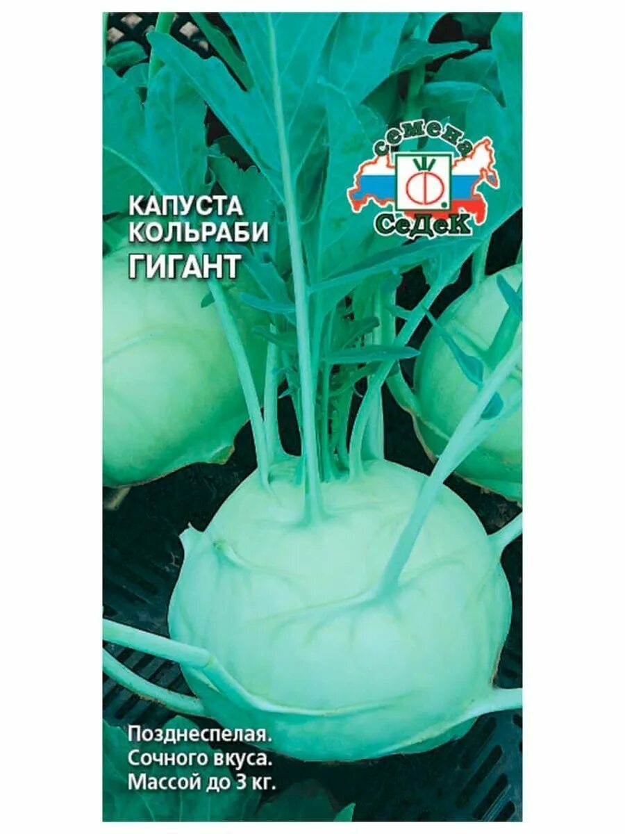 Капуста гигант описание сорта фото Семена Капуста Гигант 2 пакета. СеДек 146963835 купить в интернет-магазине Wildb