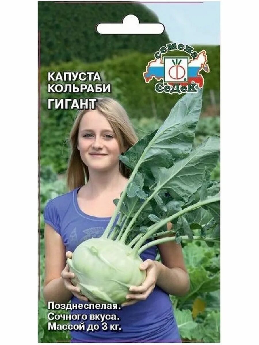 Капуста гигант описание сорта фото Капуста кольраби Гигант 0,5г(Седек) в Кирове купить по низким ценам, интернет-ма