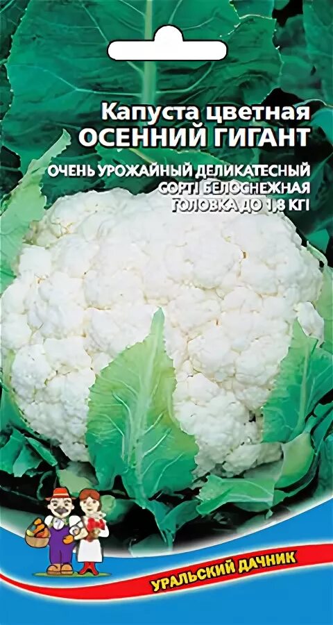 Капуста гигант описание сорта фото Капуста_цветная_Осенний гигант_0,3_г.Уральский Дачник