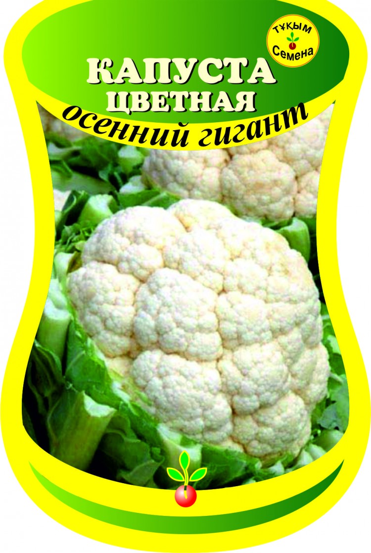 Капуста гигант описание сорта фото Капуста цветная Осенний гигант (сем. Россия) 0,2 г