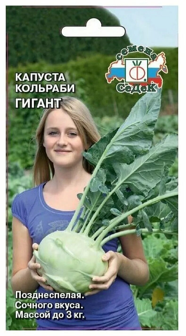 Капуста гигант описание сорта фото отзывы Семена капусты Гигант - купить в интернет-магазине по низкой цене на Яндекс Марк