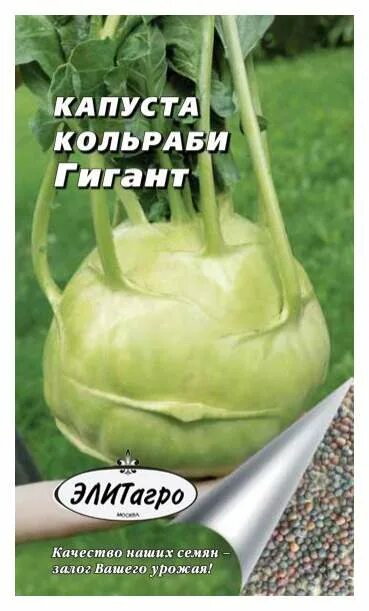Капуста гигант описание сорта фото отзывы Семена капуста кольраби Элитагро Гигант 1 уп. - характеристики на Мегамаркет