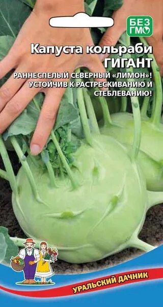Капуста гигант описание сорта фото отзывы Капуста Уральский дачник Капуста кольраби Гигант_1 - купить по выгодным ценам в 
