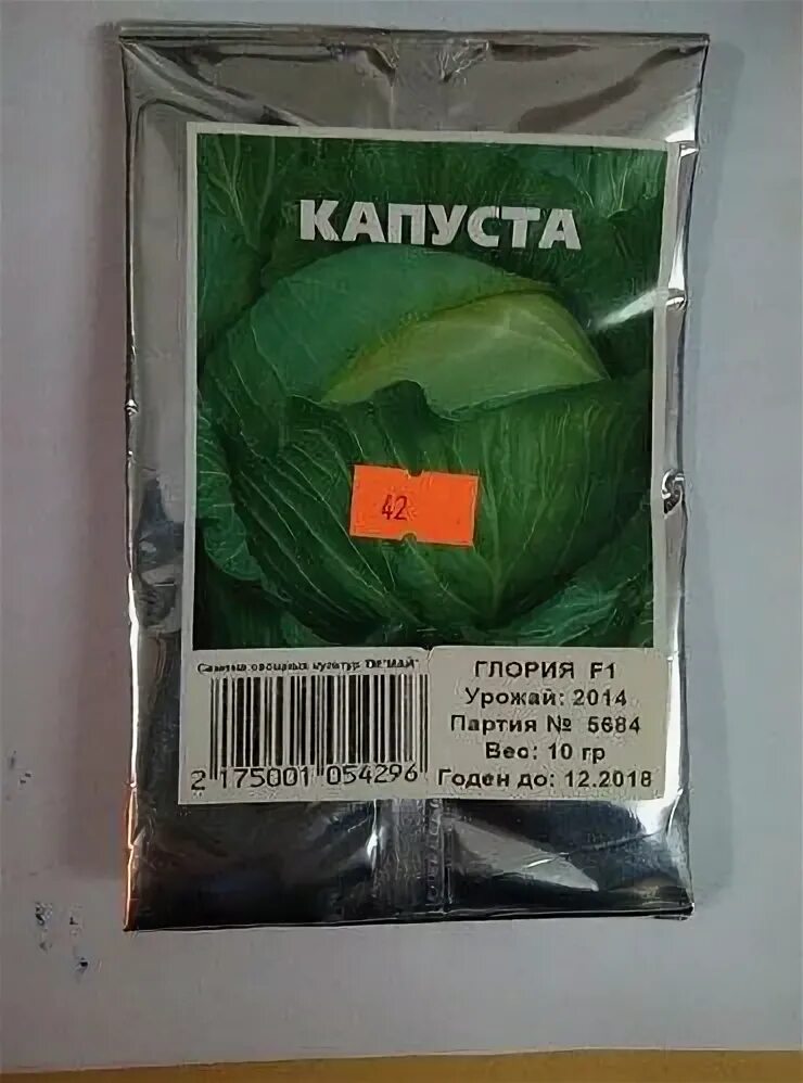 Капуста глория описание сорта фото отзывы садоводов Капуста Глория F1: описание, фото, отзывы