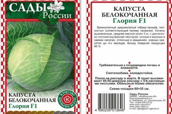 Капуста глория описание сорта фото отзывы садоводов Капуста Глория F1: характеристика и описание гибридного сорта с фото