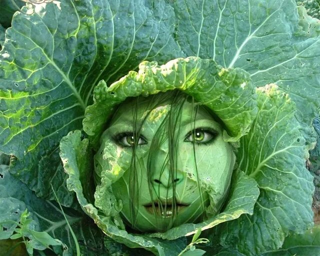 Капуста голова фото я капуста (Земфира Мусина) / Стихи.ру