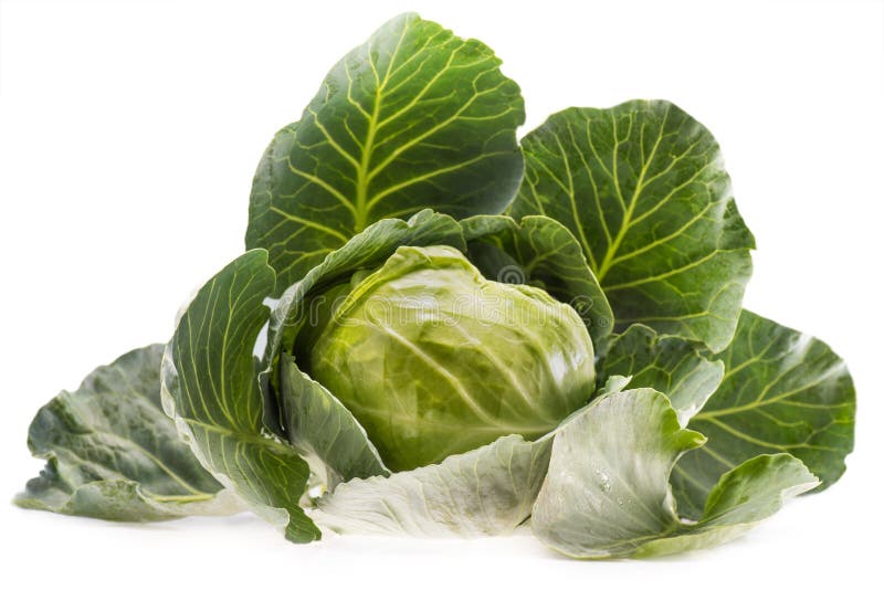 Капуста голова фото Fresh ripe healthy cabbage stock photo. Image of vitamins - 106446874