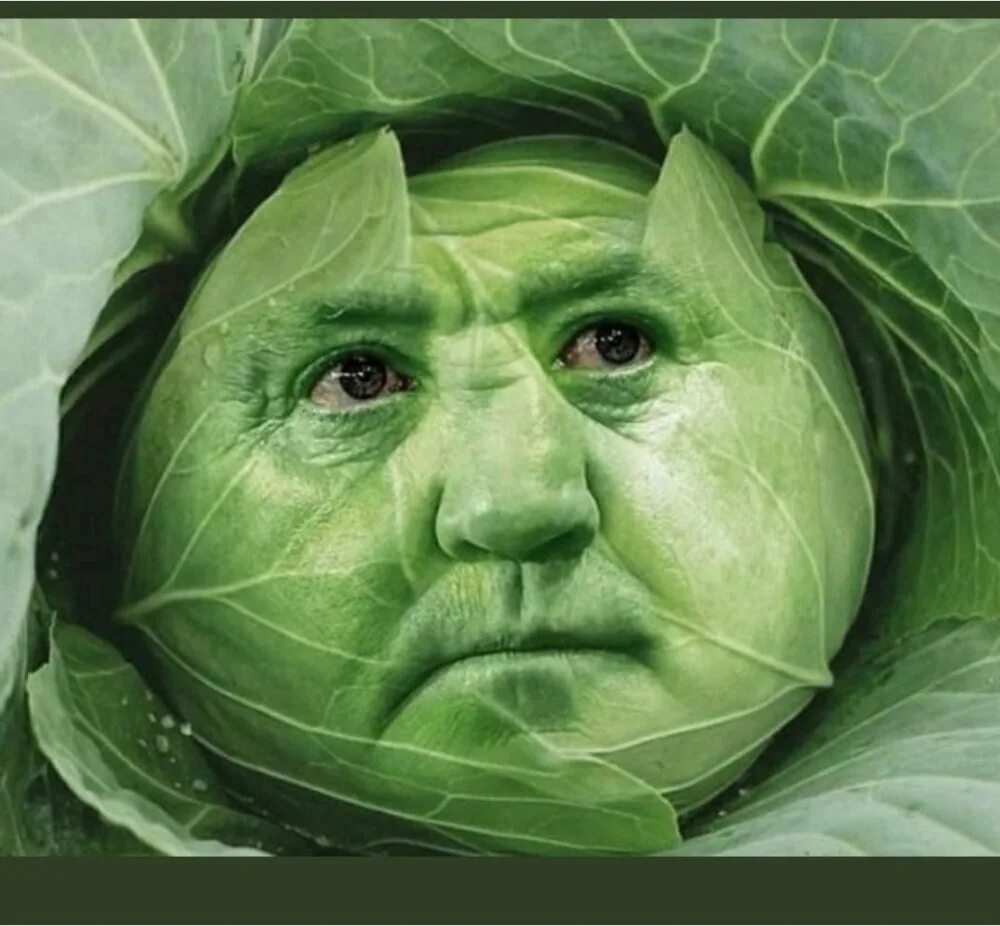 Капуста голова фото Блоггер капуста eCookie.ru