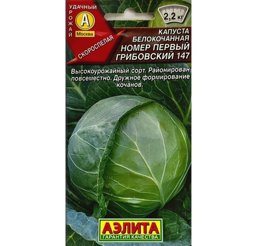 Капуста грибовская описание сорта фото отзывы Капуста сорт грибовский 147