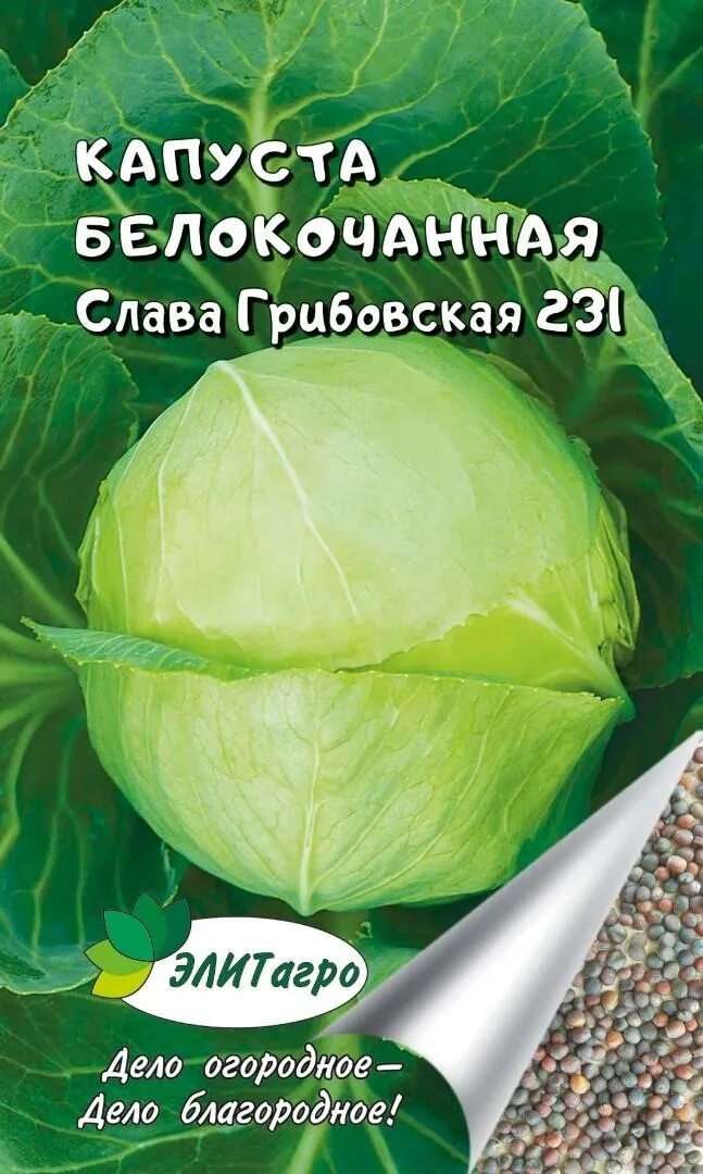 Капуста грибовская описание сорта фото отзывы Семена капуста белокочанная Элитагро Грибовская зимняя 1 уп. - купить в Москве, 