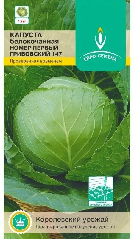 Капуста грибовская описание сорта фото отзывы Капуста белокочанная Номер первый Грибовский 147. Семена. Скороспелый отечествен