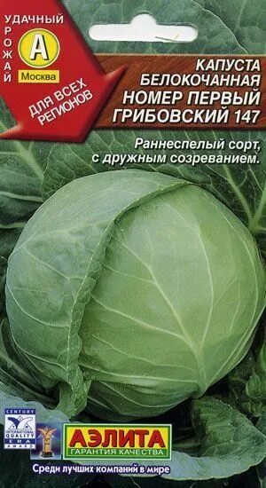 Капуста грибовская описание сорта фото отзывы Купить Капуста белокочанная Грибовский 147 скороспелая 0,5гр (Аэлита) в АФ "Сиби