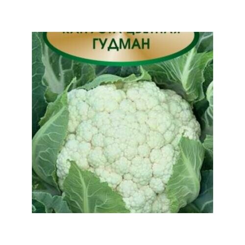 Капуста гудман фото Семена капуста цветная гудман 30 шт