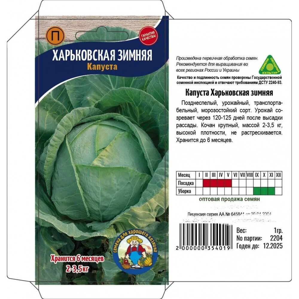 Капуста харьковская фото Харьковский сорт капусты: найдено 79 картинок