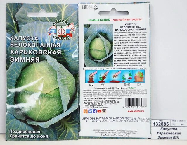 Капуста харьковская зимняя фото Капуста харьковская зимняя описание фото - Arhids.ru