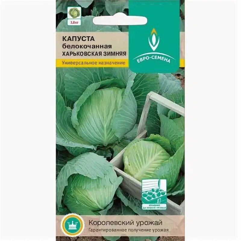 Капуста харьковская зимняя фото Капуста бк Харьковская зимняя 0,5г