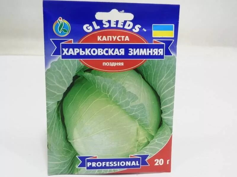 Капуста харьковская зимняя фото Капуста харьковская зимняя описание сорта фото отзывы - Botanikasar.ru