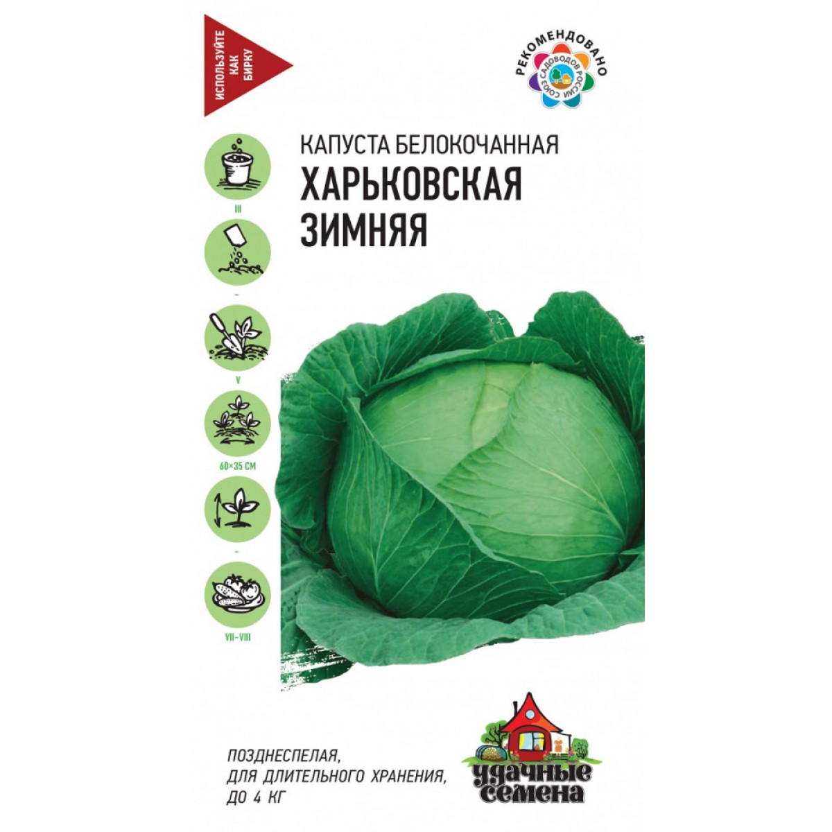Капуста харьковская зимняя фото Капуста белокочанная Харьковская зимняя Ц/П 0,1г