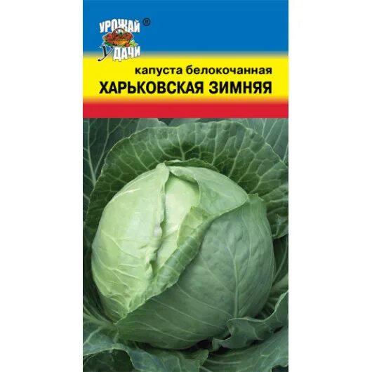 Капуста харьковская зимняя фото Капуста Харьковская зимняя: характеристика и описание позднеспелого сорта с фото