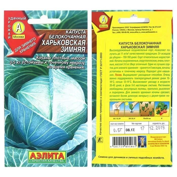 Капуста харьковская зимняя фото Капуста Харьковская зимняя: характеристика и описание позднеспелого сорта с фото