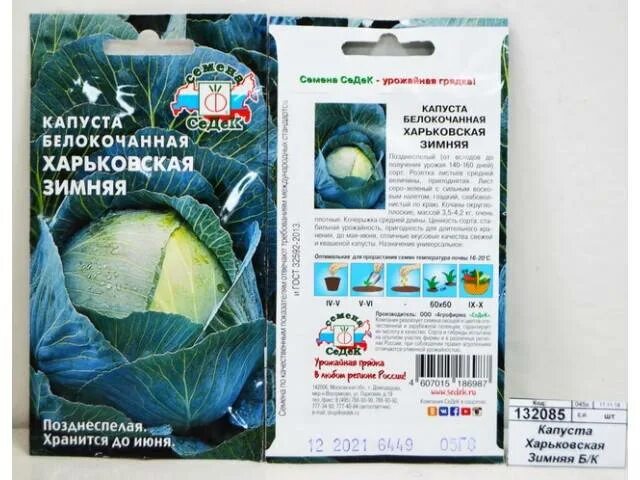 Капуста харьковская зимняя фото Капуста Харьковская зимняя: характеристика и описание позднеспелого сорта с фото