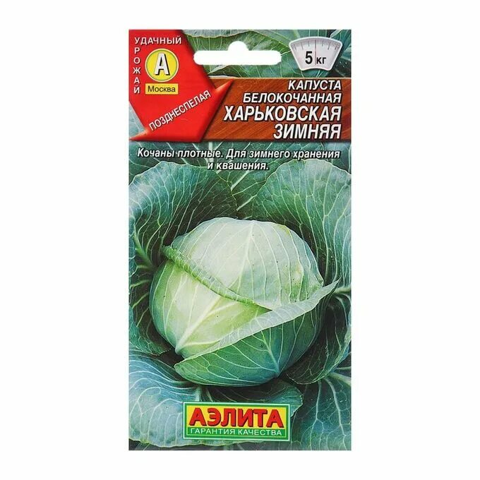 Капуста харьковская зимняя фото СИМА-ЛЕНД / Семена Капуста б/к Харьковская зимняя П Ц/П 0,5г Семена капусты и мо
