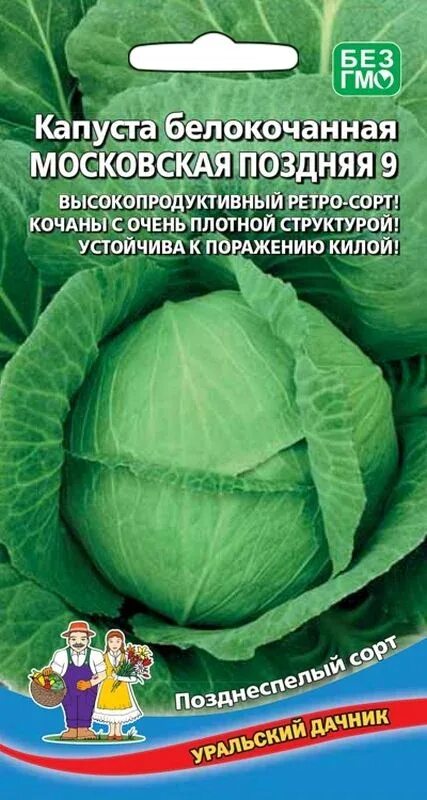 Капуста харьковская зимняя фото Семена Капуста б/к Московская поздняя 9: описание сорта, фото - купить с доставк