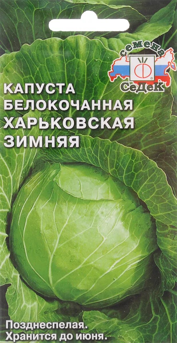 Капуста харьковская зимняя описание сорта фото Капуста Харьковская зимняя: характеристика и описание позднеспелого сорта с фото