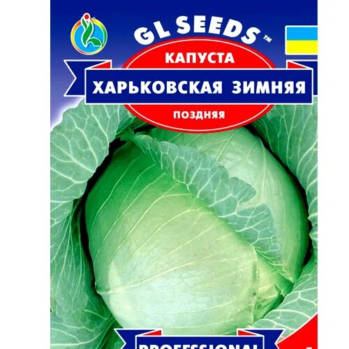 Капуста харьковская зимняя описание сорта фото отзывы СЕМЕНА КАПУСТА ПОЗДНЯЯ "ХАРЬКОВСКАЯ ЗИМНЯЯ", 1 Г /GL SEEDS